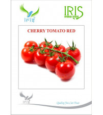 Iris Imported Cherry Tomato Red 10 grams
